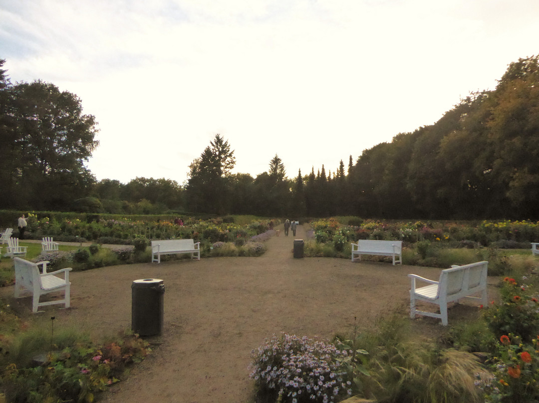 Dahliengarten-汉堡必去景点