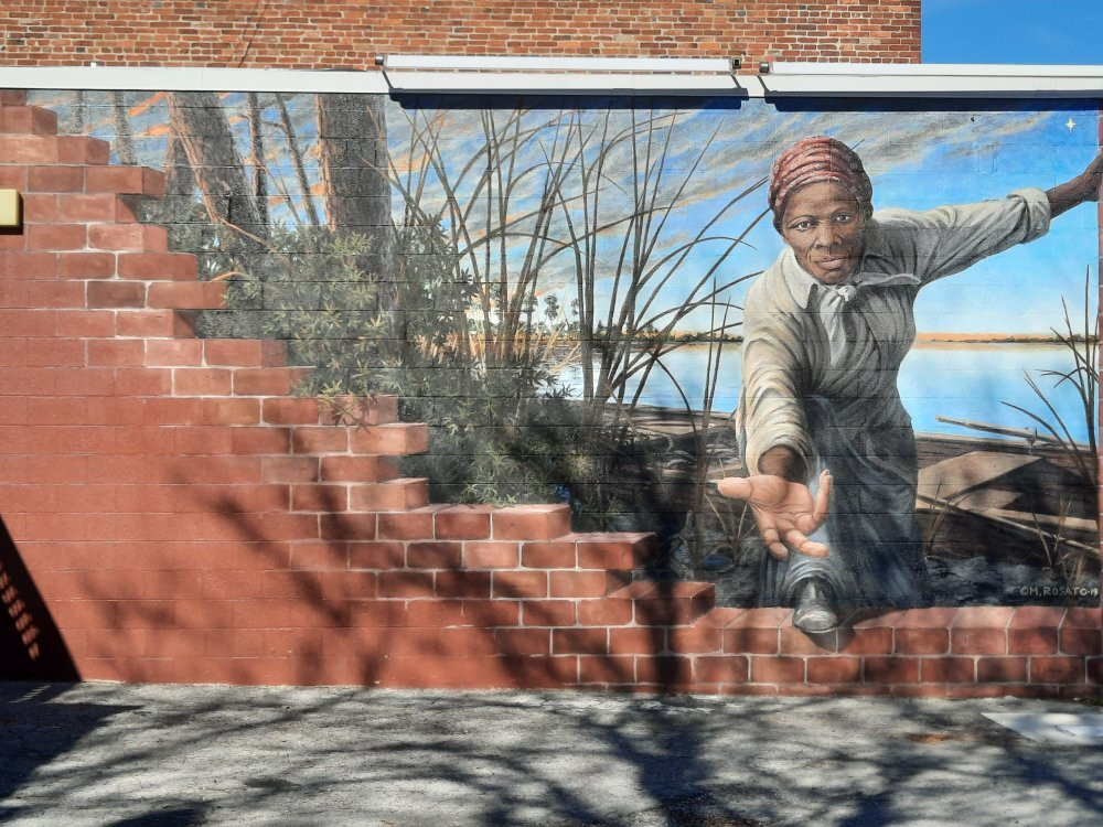 Harriet Tubman Museum and Educational Center景点图片