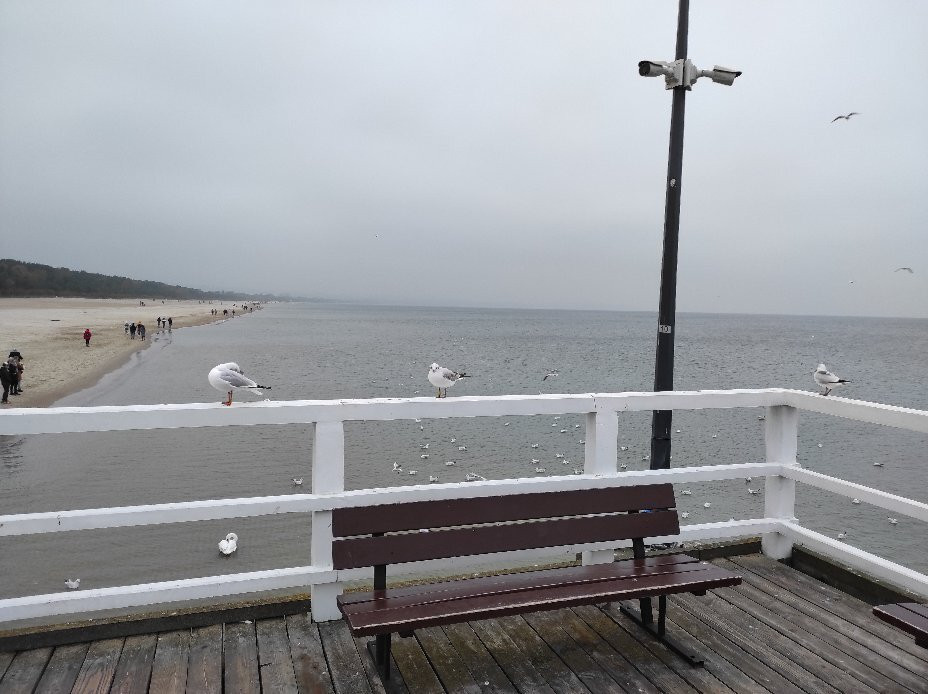Brzezno Pier-格但斯克必去景点