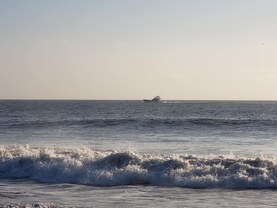 Fenwick Shores, Tapestry Collection by Hilton主图