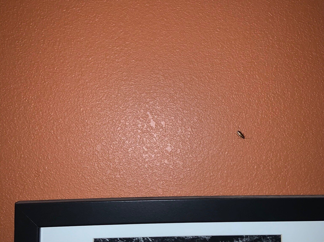 Sleep Inn & Suites主图