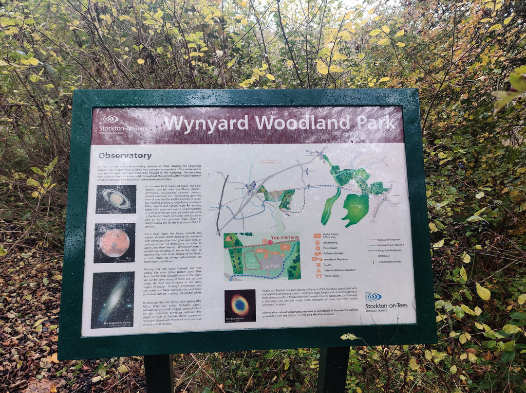 Wynyard Woodland Park-斯托克顿提斯必去景点