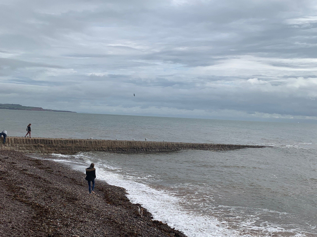 Dawlish Town Trail-道利什必去景点
