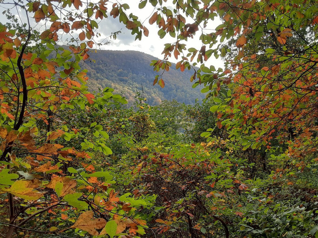 Jones Gap State Park-Marietta必去景点