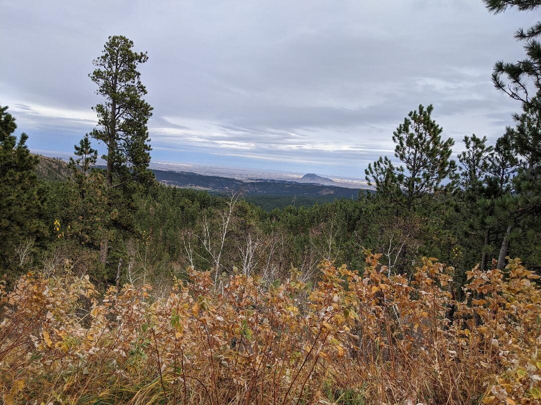 Black Hills Off-Road Rentals-戴德伍德必去景点