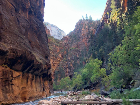 Zion Rock & Mountain Guides-斯普林代尔必去景点