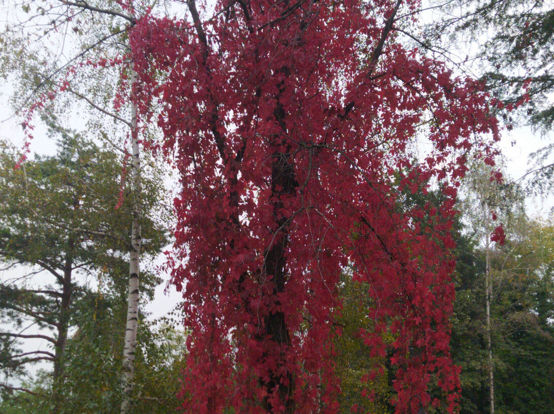 B&B Caterina.c主图