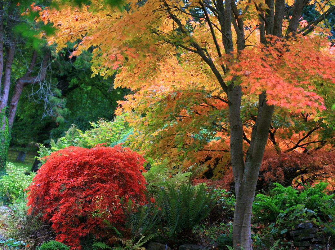 Hergest Croft Gardens景点图片