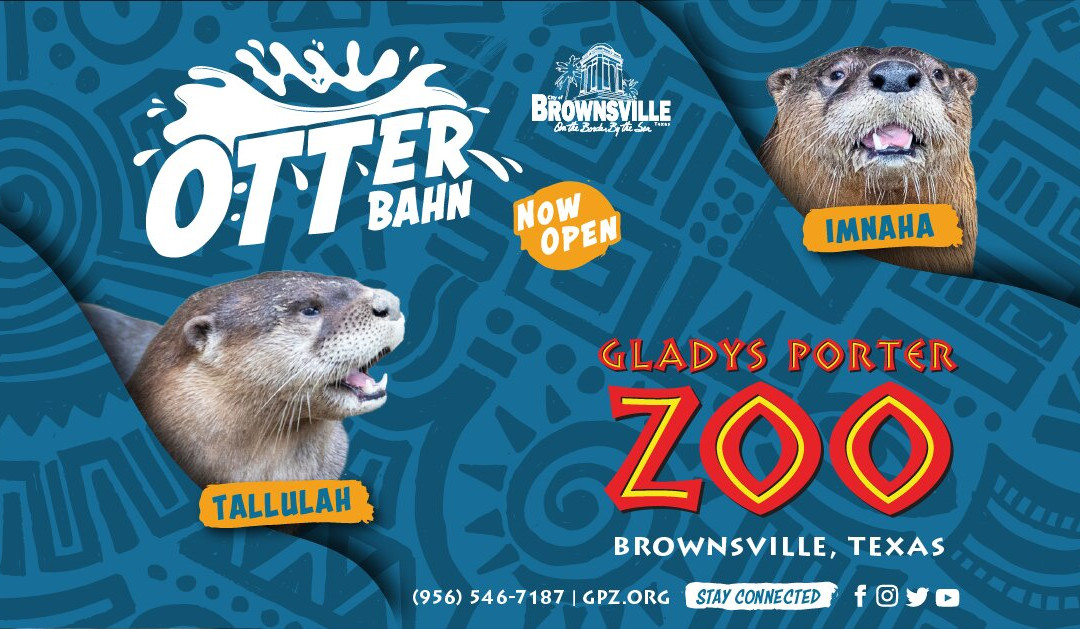 Gladys Porter Zoo-布朗斯维尔必去景点