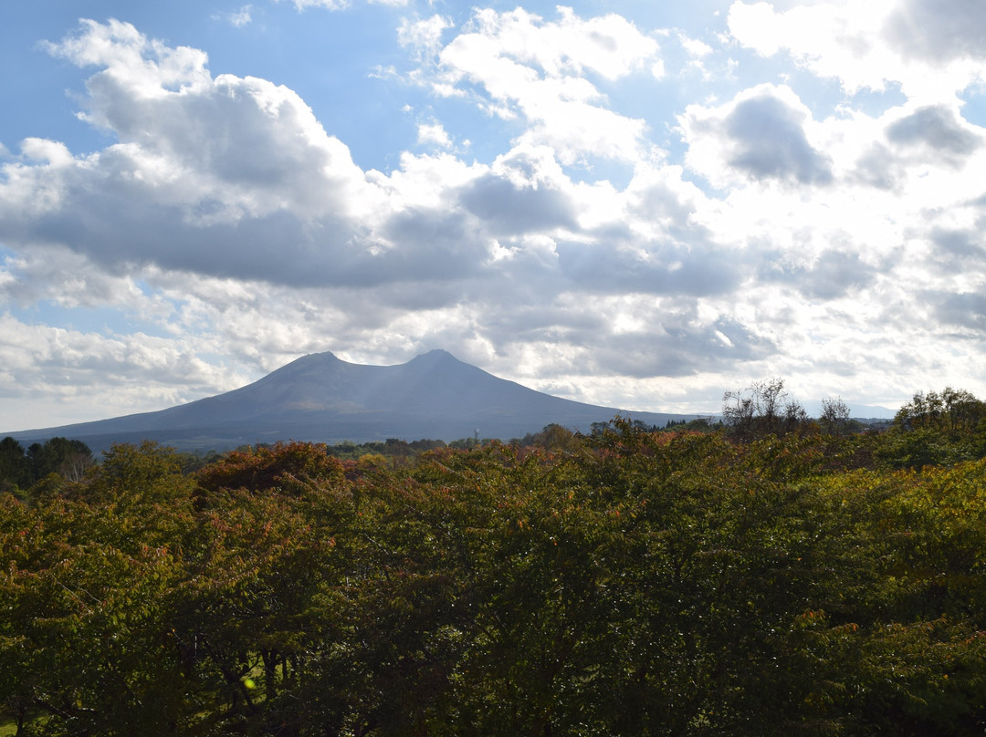 Michi-no-Eki You Yu Mori-森町必去景点