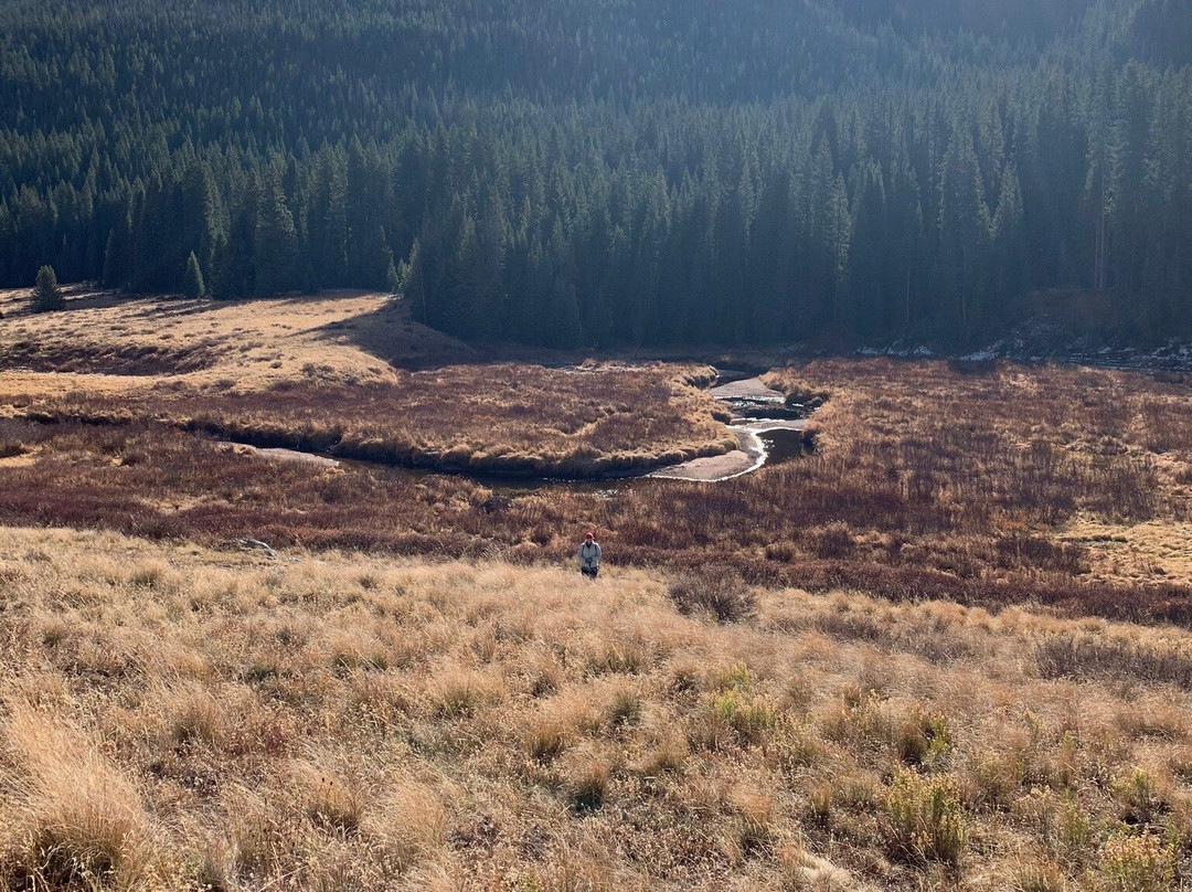Piney River Trail (Upper)-韦尔必去景点