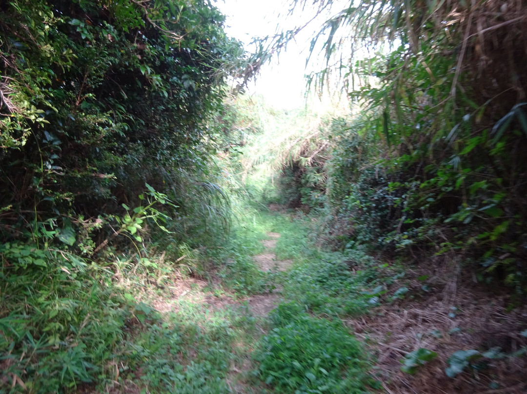 Nushima-南淡路市必去景点