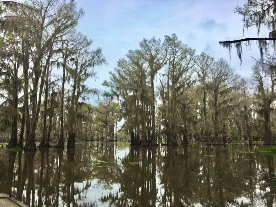 Ole Jigger Caddo Lake Adventures景点图片