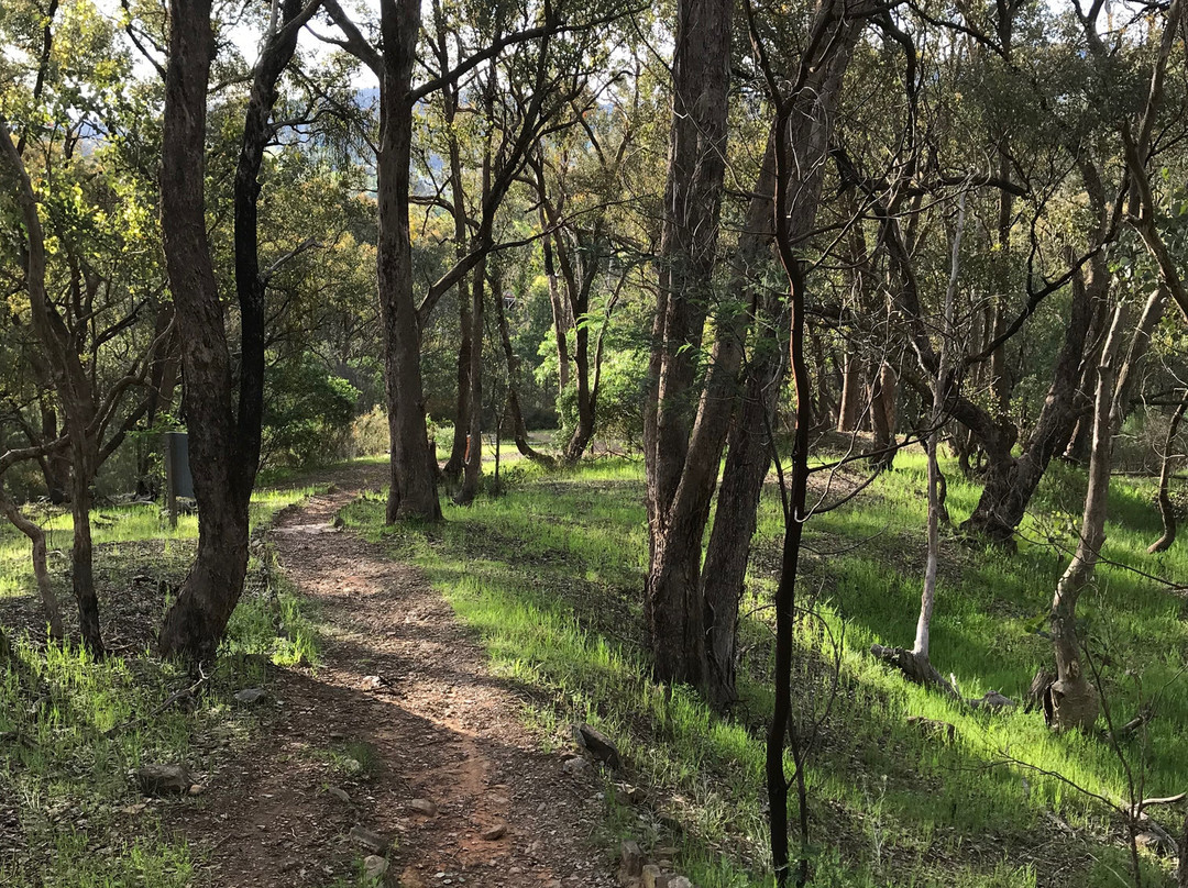 Hume And Hovell Monument-Myrtleford必去景点