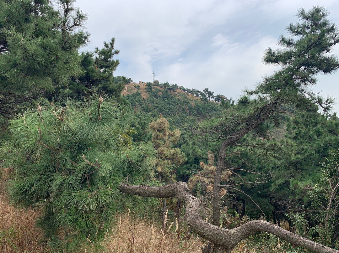 青岛浮山公园-青岛市必去景点