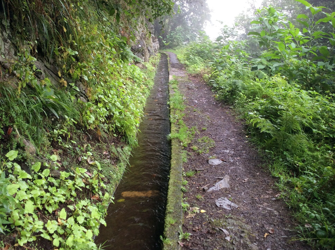 Lokoloko - Mountain Bike & Outdoor Tours-Canico必去景点
