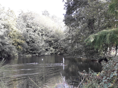 Holywells Park-伊普斯威奇必去景点