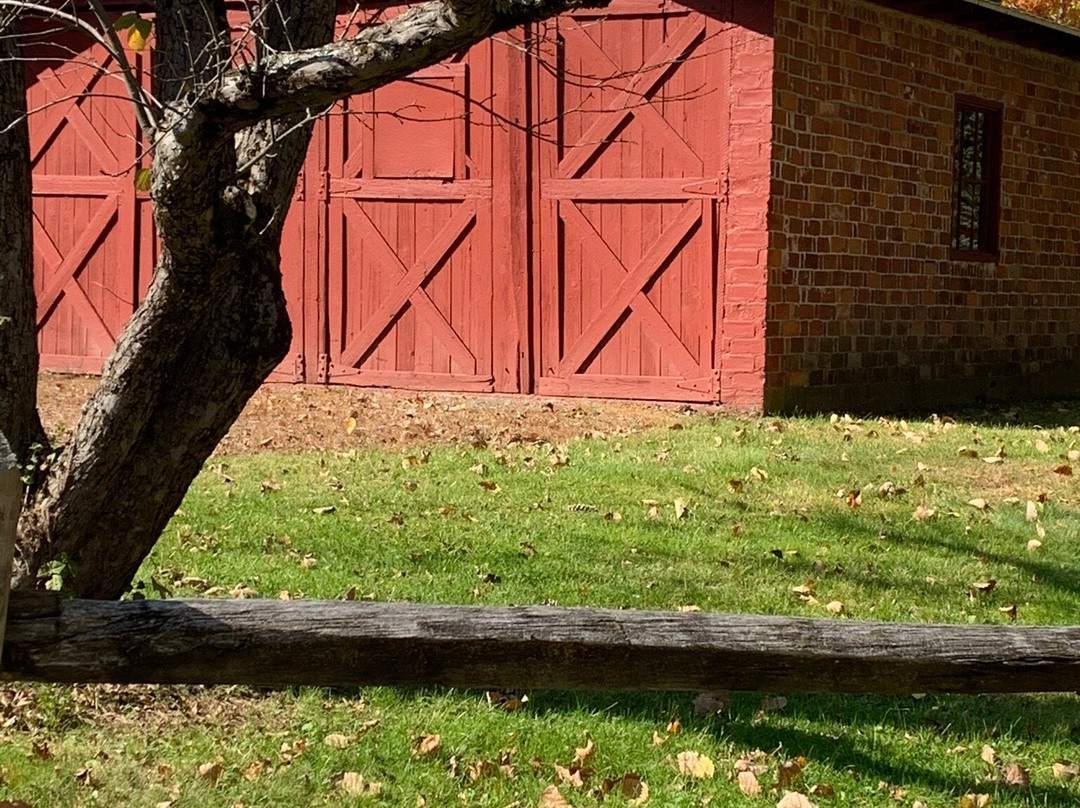 White Memorial Conservation Center-利奇菲尔德必去景点