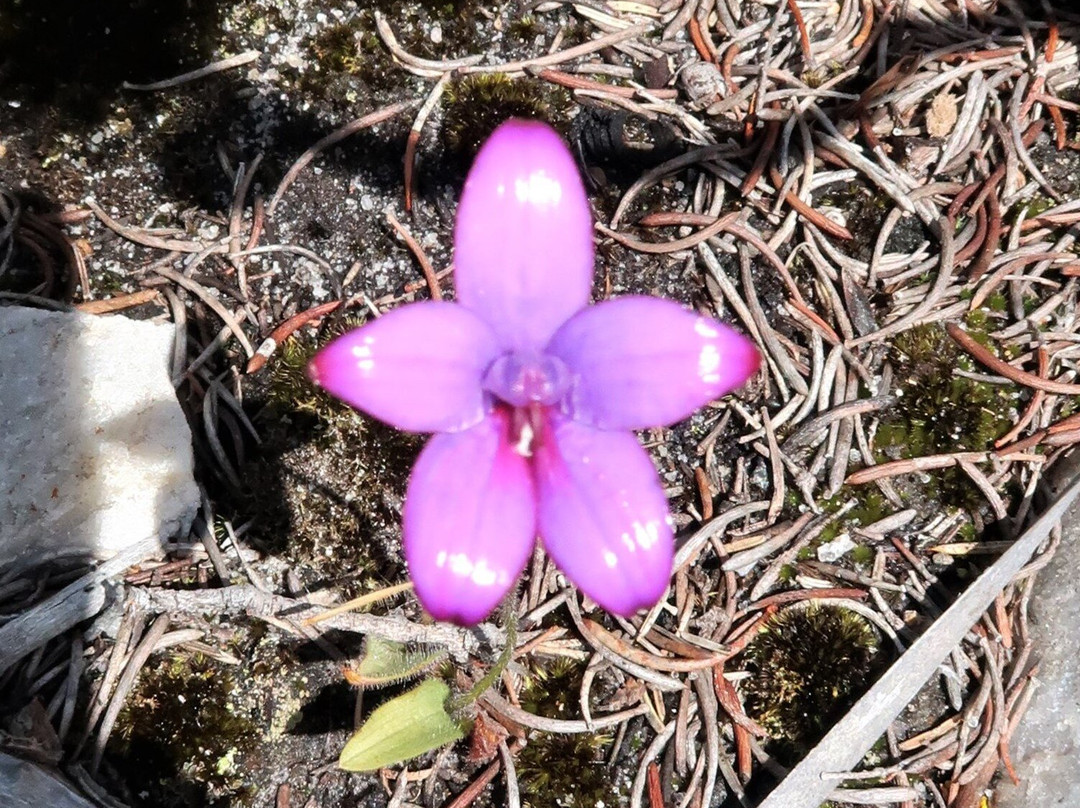 Barrens Lookout-Hopetoun必去景点