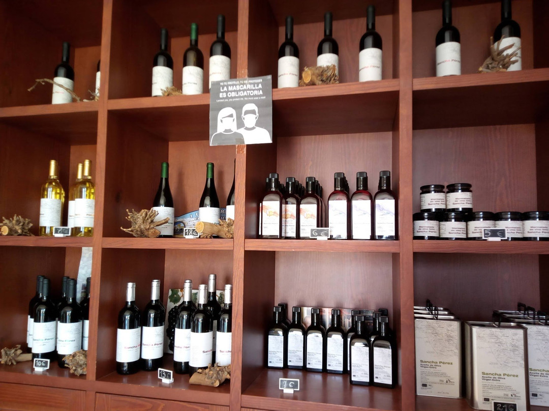 Sancha Pérez Bodega Almazara-Conil de la Frontera必去景点