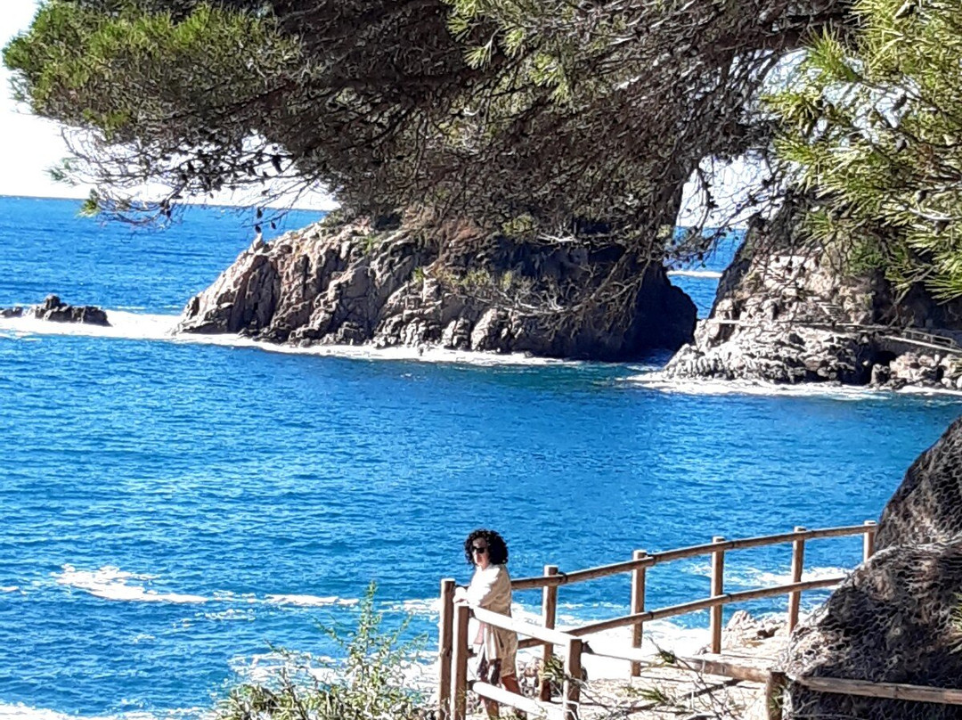 Cala de Sant Francesc景点图片