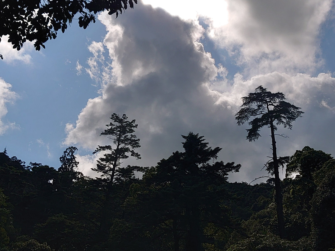 彌山原始林-廿日市市必去景点