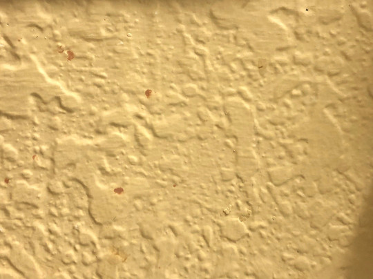 Super 8 by Wyndham Fairview Heights - St. Louis主图