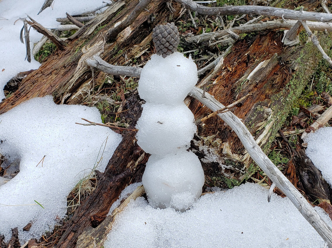 Silver Run Trails-雷德洛治必去景点
