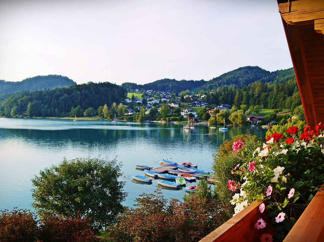 Landhotel Schützenhof主图