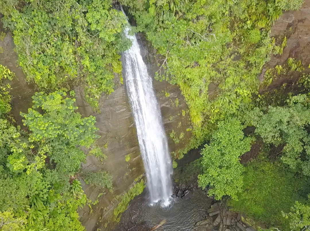 Parque Nacional Natural Uramba Bahia Malaga景点图片