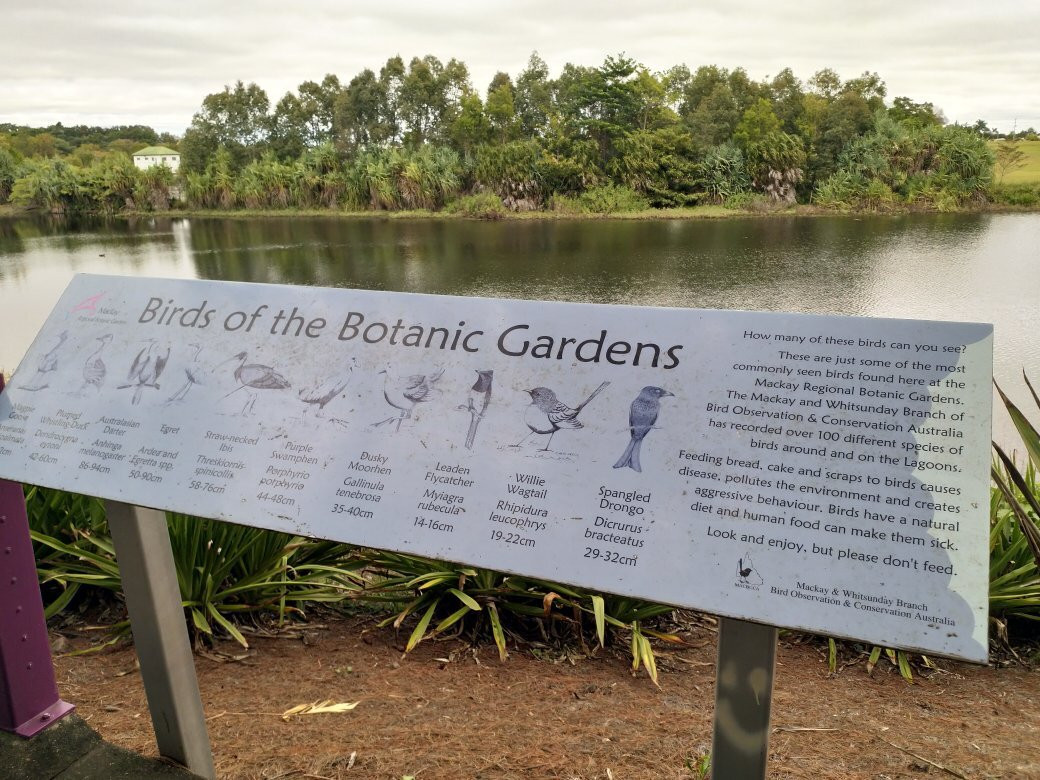 Mackay Regional Botanic Gardens景点图片