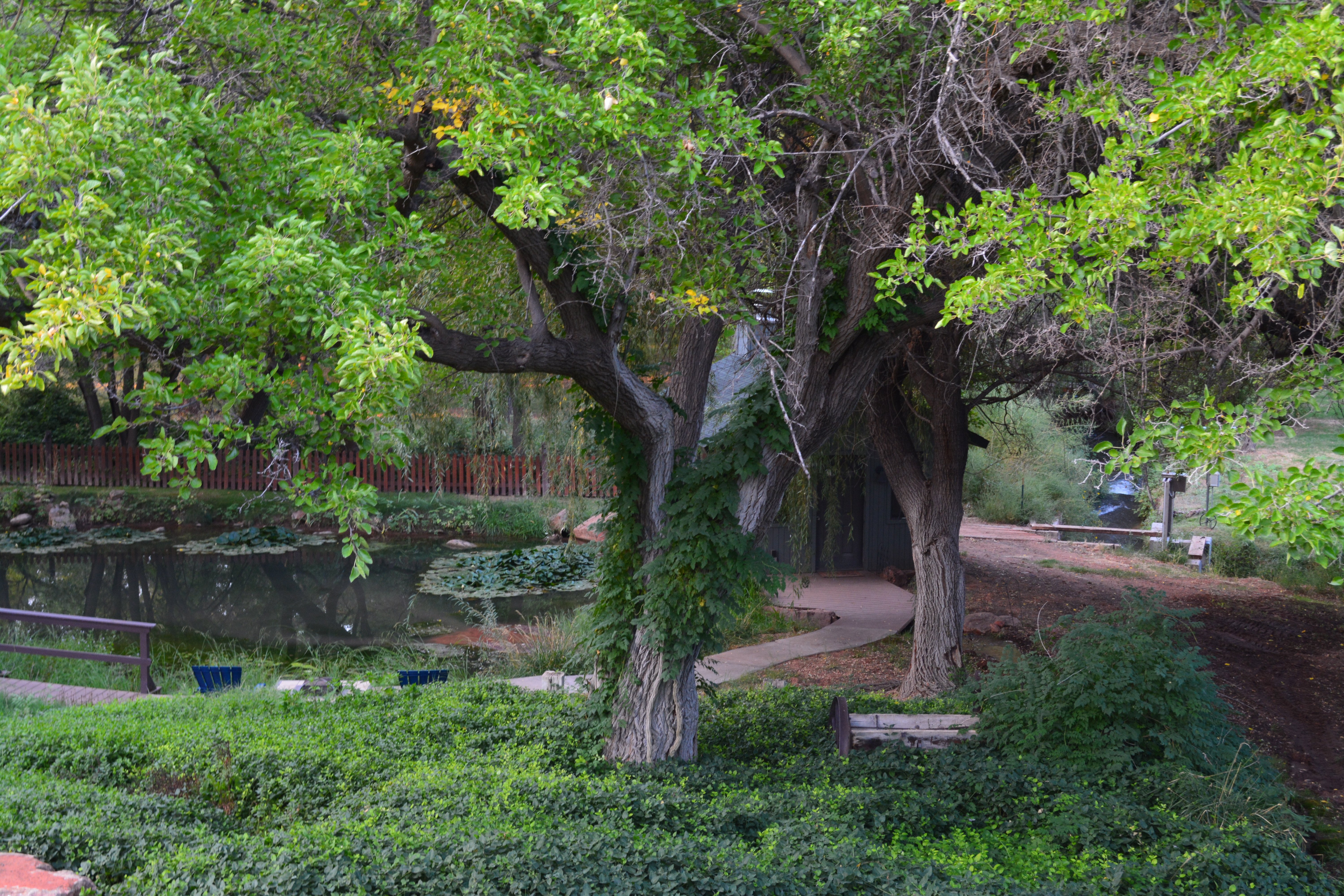 Sycamore Springs Guest House-酒店景观