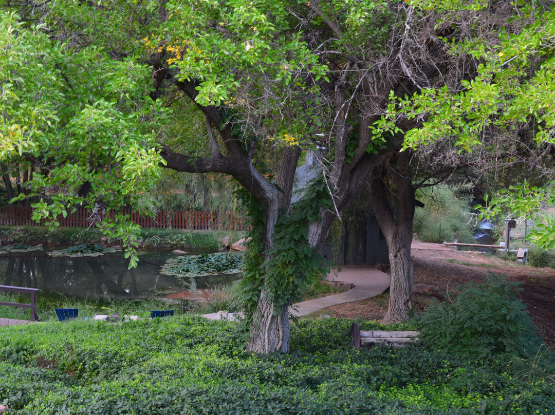 Sycamore Springs Guest House主图