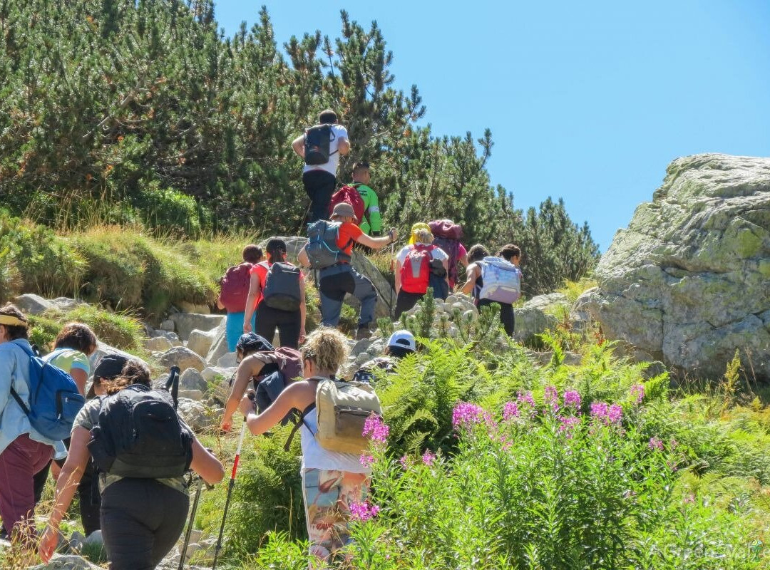 Green Valleys Ltd-索非亚必去景点