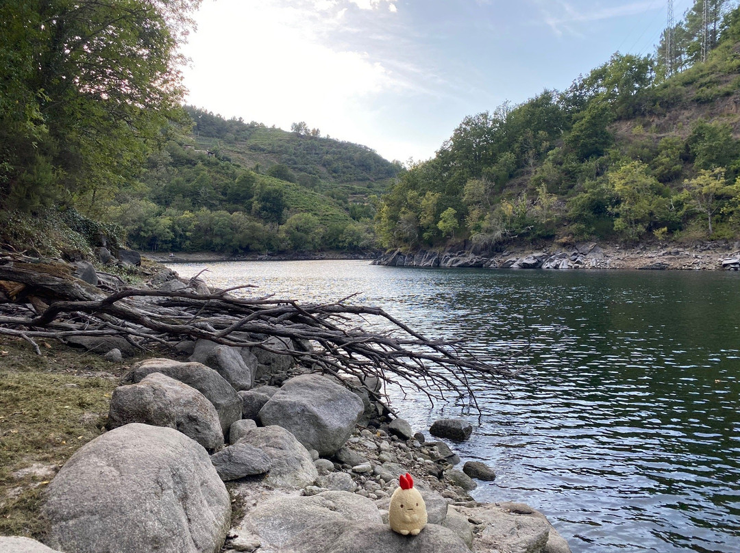 Pasarelas Del Río Mao - Ribeira Sacra景点图片