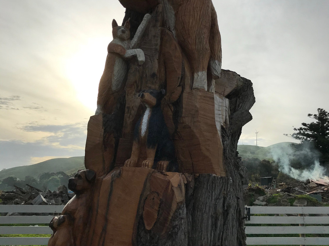 Toora Dog Tree-Toora必去景点