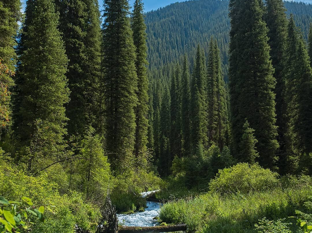 Ile-Alatau National Park-阿拉木图必去景点