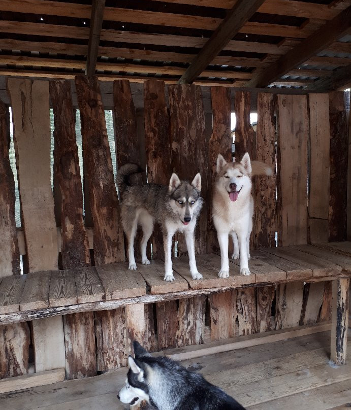 Husky Khutor-Esto-Sadok必去景点