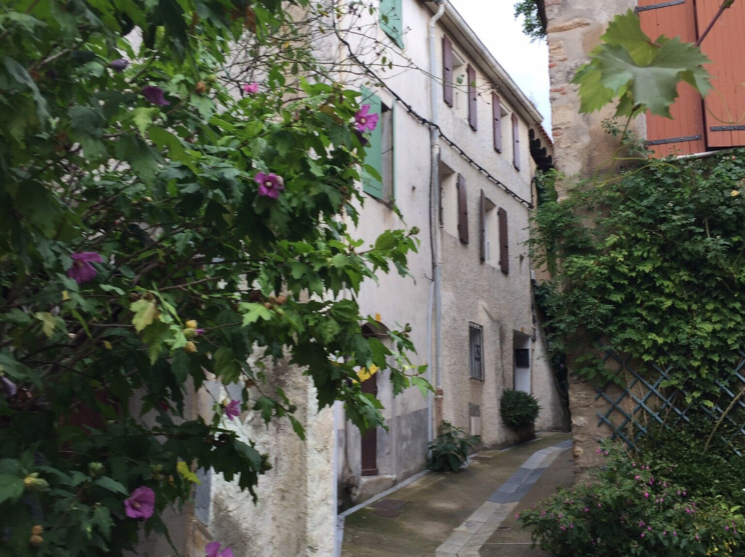 Château de Laroque des Albères景点图片