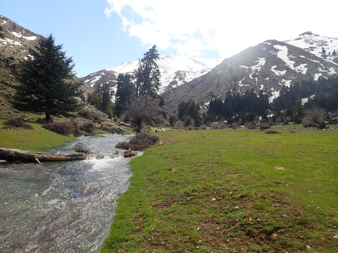 Ziria旅游攻略图片