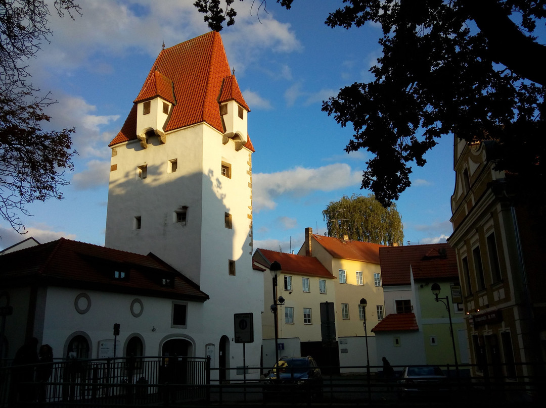 Rabenstejn Tower (Rabnstejnska Vez)景点图片
