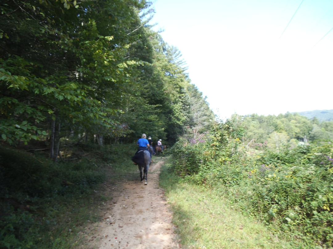 Roan Mountain Riding Company-Roan Mountain必去景点