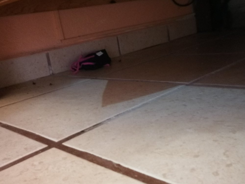 Hotel Marbella主图