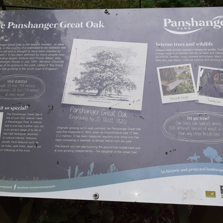 Panshanger Park,景点图片