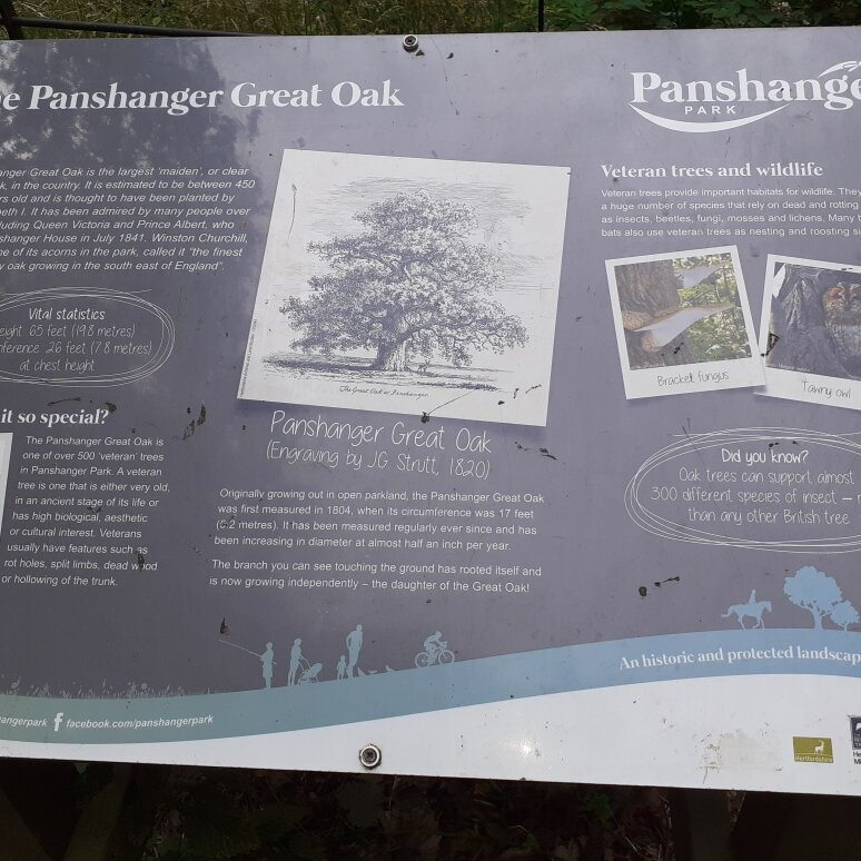 Panshanger Park,-Hertford必去景点