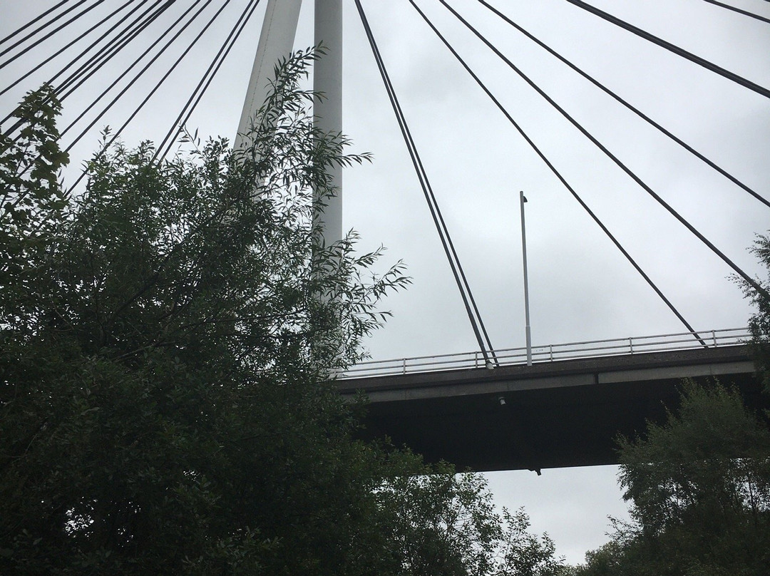 The River Leven Suspension Bridge景点图片