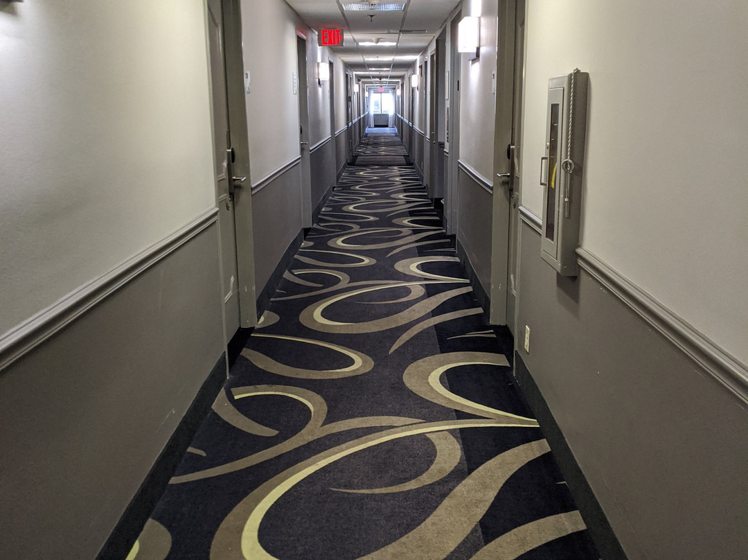 Wingate by Wyndham Brunswick主图