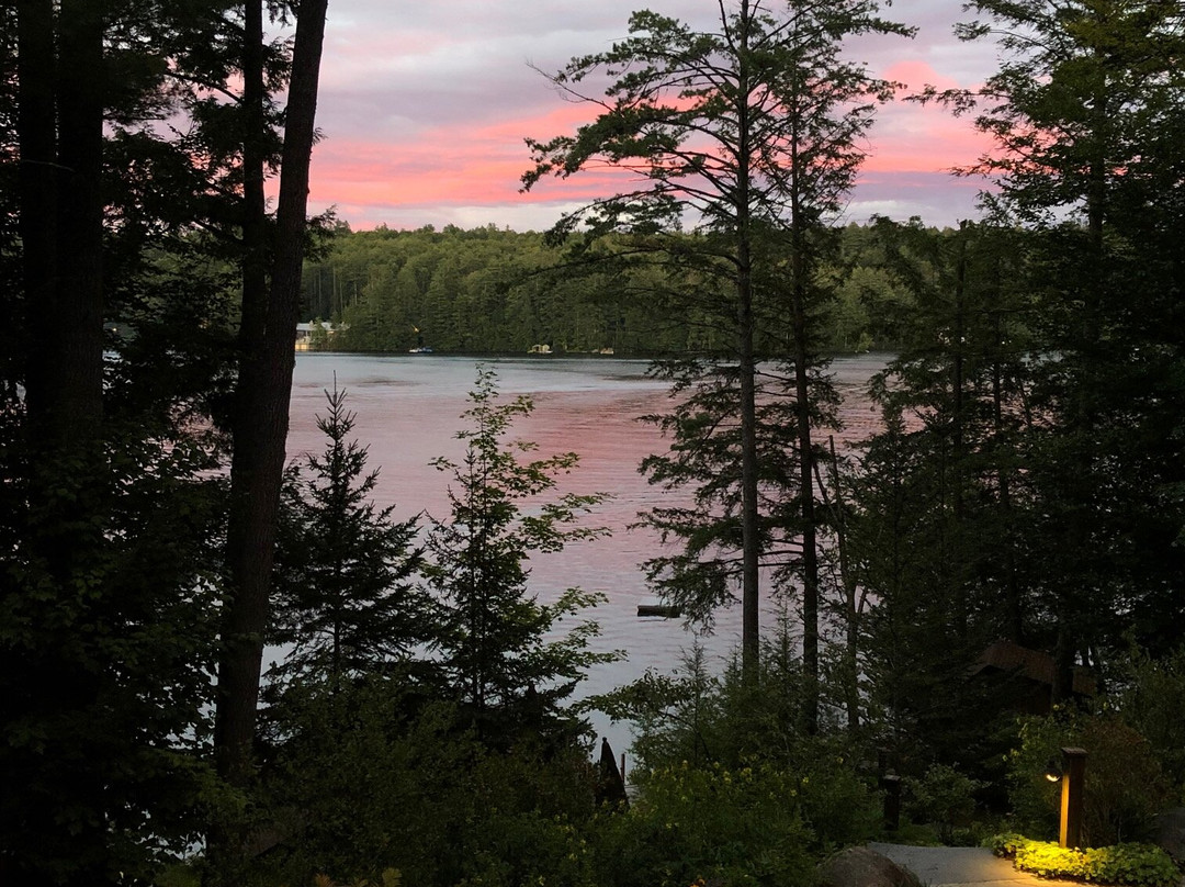 The Fern Lodge主图