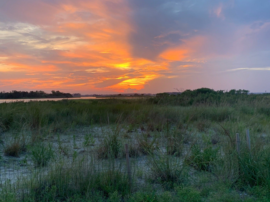 Delaware Seashore State Park景点图片