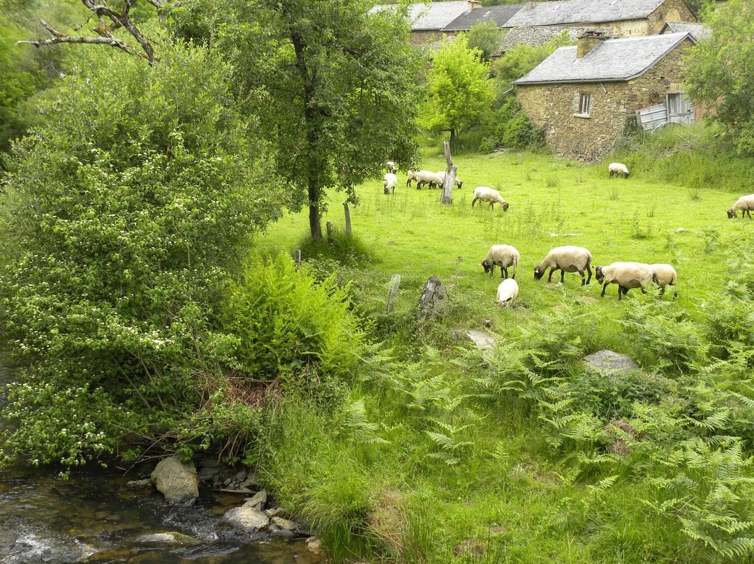 Requista旅游攻略图片